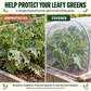 🥬 50 % DE RÉDUCTION MAINTENANT ! Filet de protection pour potager en maille fine et résistante – Protection et culture 2 en 1, barrière anti-insectes sans pesticides, laisse passer l'air et la lumière