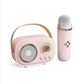 Enceinte Bluetooth portable avec microphone sans fil