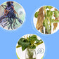 🌿 Solution nutritive universelle pour plantes en pot fleuries – Des racines solides, des fleurs éclatantes ! 🌸✨ La croissance parfaite, sans prise de tête. 💚🌱