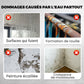 🔥Revêtement Polyuréthane Multi-Usage Imperméable