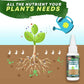 🔥Achetez-en 2, le 3e est offert (3 unités)🔥 Solution nutritive pour plantes