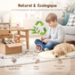 🔥Vente chaude🛠️Kit créatif de bricolage technologique DIY🔥
