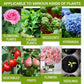 🔥Achetez-en 2, le 3e est offert (3 unités)🔥 Solution nutritive pour plantes