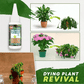 🔥Achetez-en 2, le 3e est offert (3 unités)🔥 Solution nutritive pour plantes