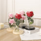 ✨ 50% DE RÉDUCTION à Pâques ✨ Rose qui dure sans se faner – Coffret Cadeau INCLUS !