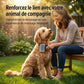 🐾 50 % DE RÉDUCTION MAINTENANT ! Peigne démêlant pour animaux en acier inoxydable – Démêlage et brossage 2 en 1, pour nœuds, bourres et poils emmêlés