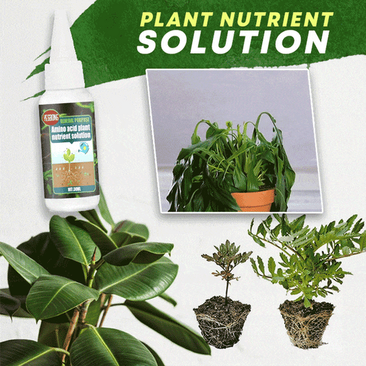 🔥Achetez-en 2, le 3e est offert (3 unités)🔥 Solution nutritive pour plantes