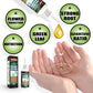 🔥Achetez-en 2, le 3e est offert (3 unités)🔥 Solution nutritive pour plantes