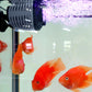 Pompe de circulation d'eau pour mini-vagues d'aquarium