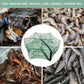 🦐🦀 Nasse pliante automatique – Le piège intelligent pour de plus grosses prises ! 🎣✨