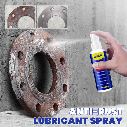 📢📢Achetez 5 obtenez 5 gratuit⏰Spray lubrifiant antirouille et dissolvant de rouille