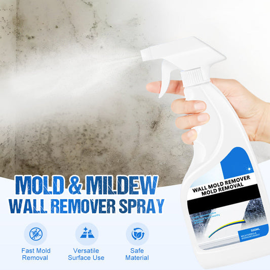 🔥👉📣 Spray anti-moisissure pour murs