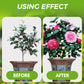 🌱Engrais liquide polyvalent pour plantes - Aucune dilution requise