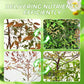 🌱Engrais liquide polyvalent pour plantes - Aucune dilution requise