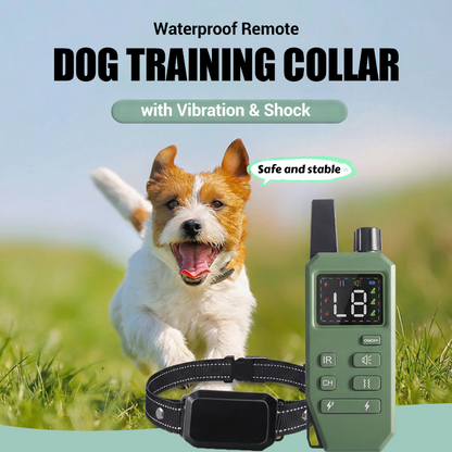 Collier de dressage pour chien à distance étanche avec vibrations et chocs