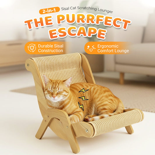 🔥 Offre exceptionnelle : 50 % de réduction ! 🔥 Griffoir/lit pour chat 2 en 1 en sisal