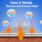 Spray anti-moisissures nettoyant en profondeur