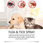 Spray naturel anti-puces et anti-tiques pour chiens et chats