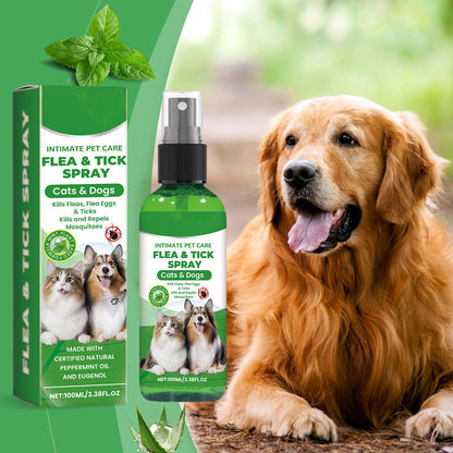 Spray naturel anti-puces et anti-tiques pour chiens et chats