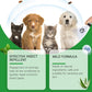 Spray naturel anti-puces et anti-tiques pour chiens et chats