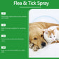 Spray naturel anti-puces et anti-tiques pour chiens et chats