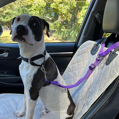 Ceinture de sécurité auto et laisse de promenade 2 en 1 pour chien