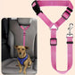 Ceinture de sécurité auto et laisse de promenade 2 en 1 pour chien