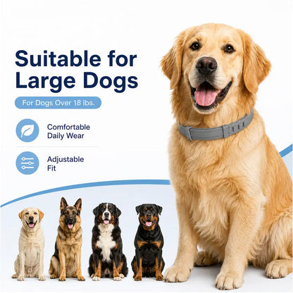 Colliers anti-puces et anti-tiques ajustables pour chiens et chats