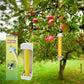 Piège à mouches collant pour jardin extérieur