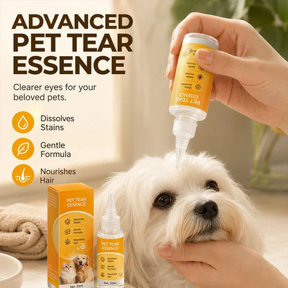 🐶✨ Soins oculaires doux pour votre animal : nettoyage du contour des yeux et toilettage quotidien du pelage 👀