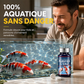 Comprimés professionnels de purification d'eau pour aquarium