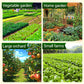🥬 50 % DE RÉDUCTION MAINTENANT ! Filet de protection pour potager en maille fine et résistante – Protection et culture 2 en 1, barrière anti-insectes sans pesticides, laisse passer l'air et la lumière